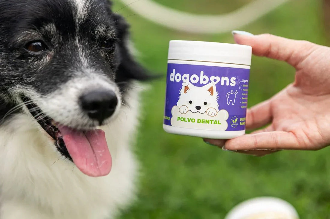 Polvo dental Dogobons