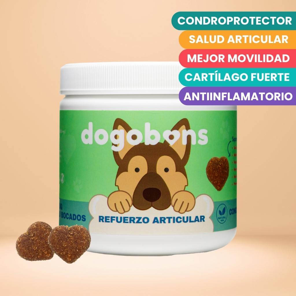 Refuerzo articular -  Masticables suaves 120 uds