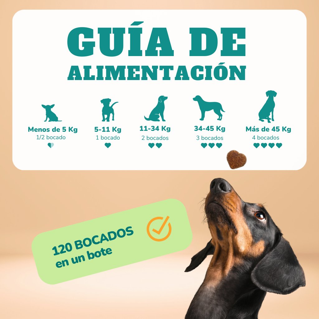 Multivitaminas para perros - Masticables suaves 120 uds