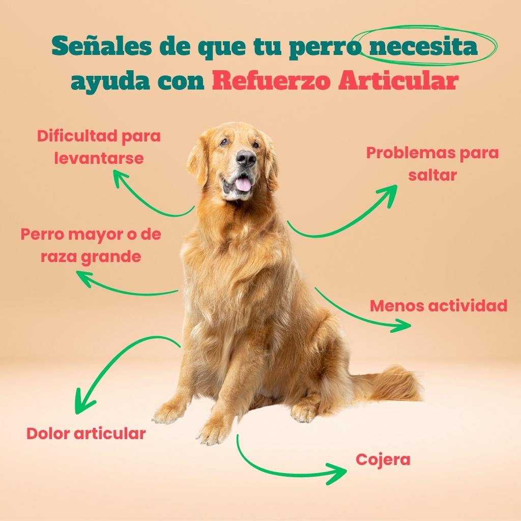 Refuerzo articular -  Masticables suaves 120 uds