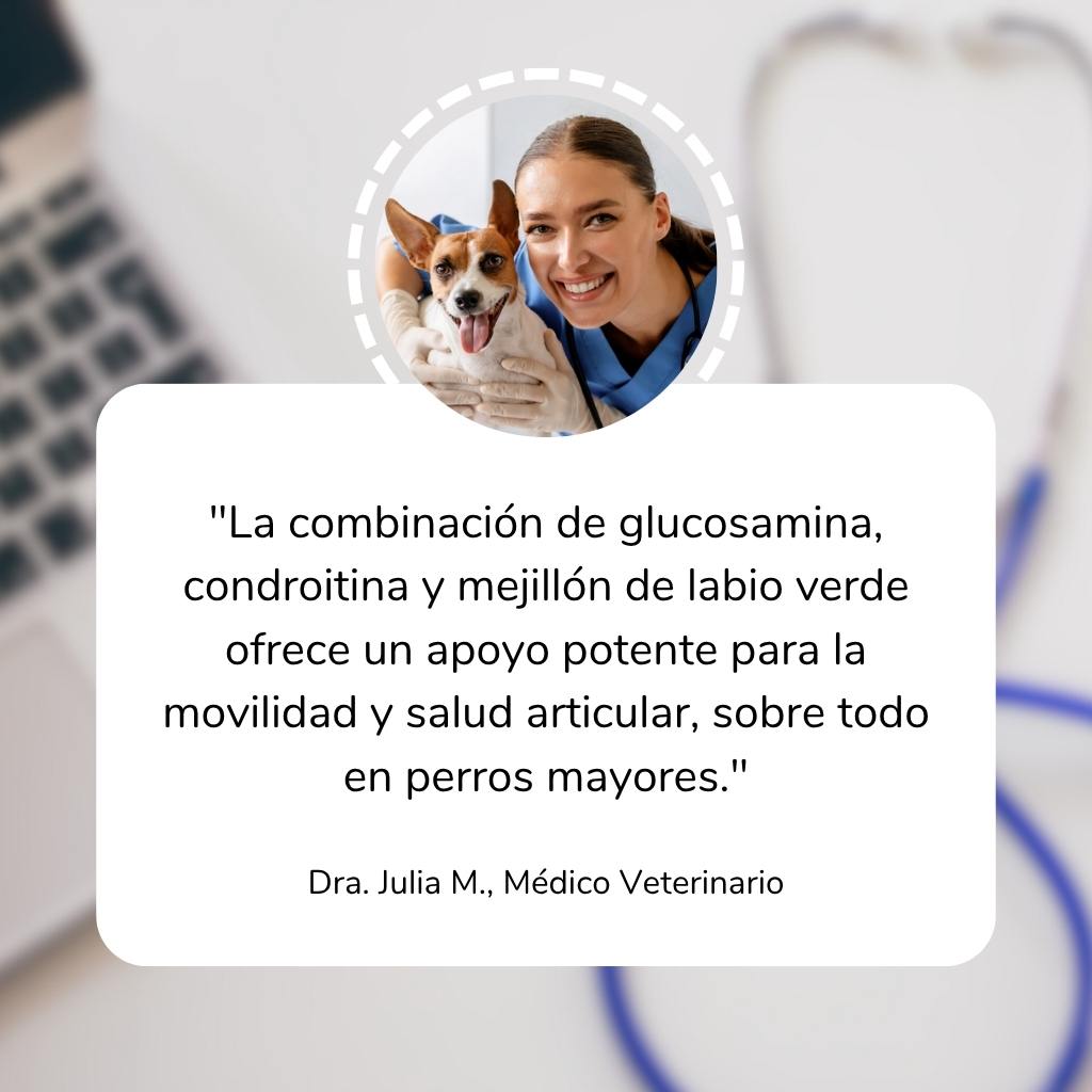 Refuerzo articular -  Masticables suaves 120 uds