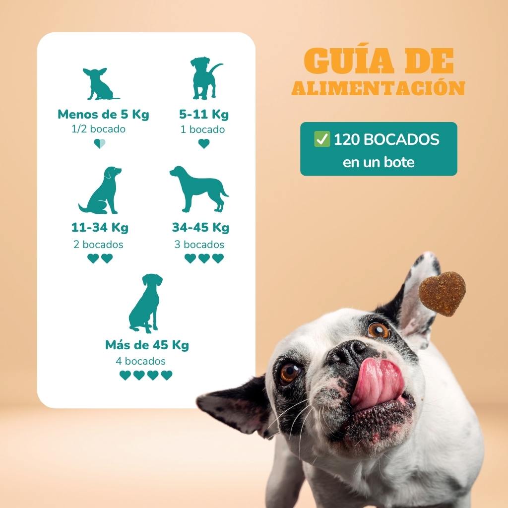 Refuerzo articular -  Masticables suaves 120 uds
