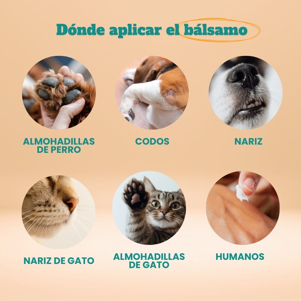 Bálsamo para almohadillas 60ml