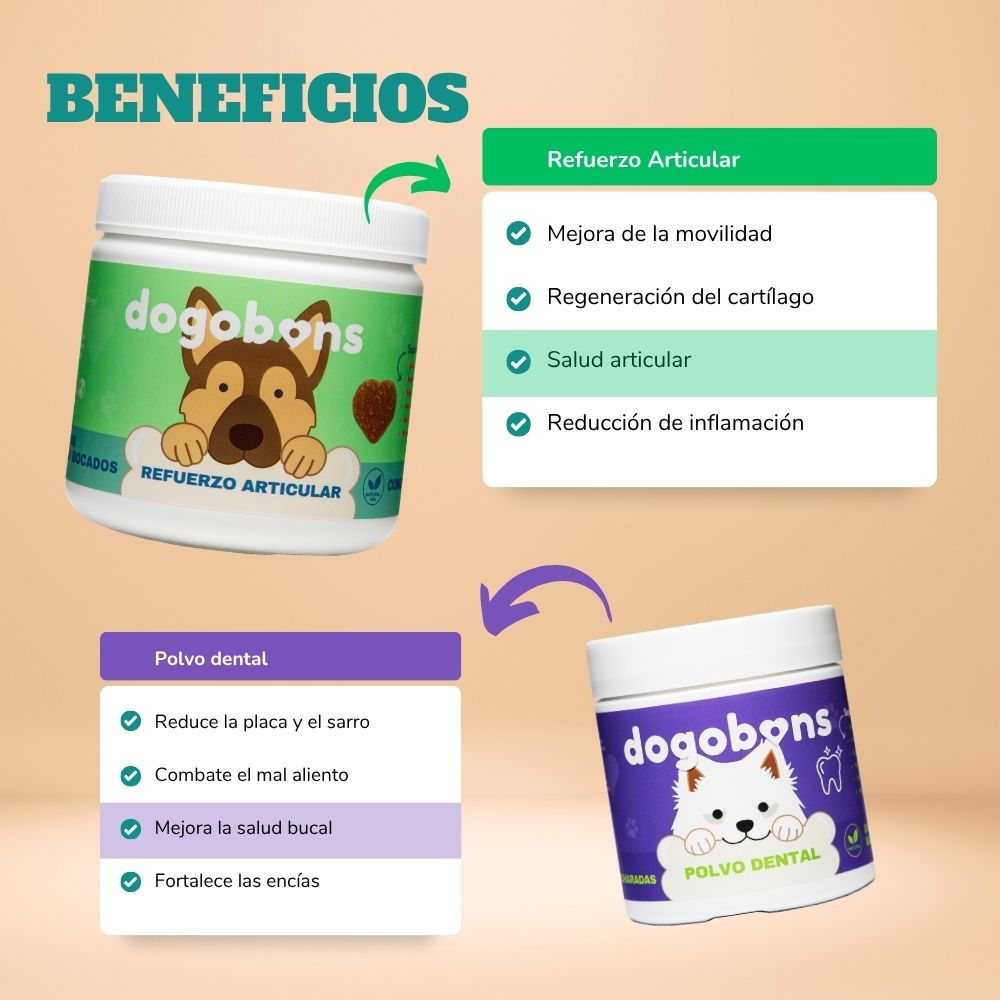 Refuerzo articular + Polvo dental