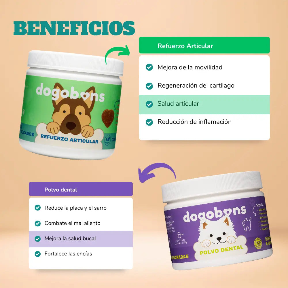 Refuerzo articular + Polvo dental
