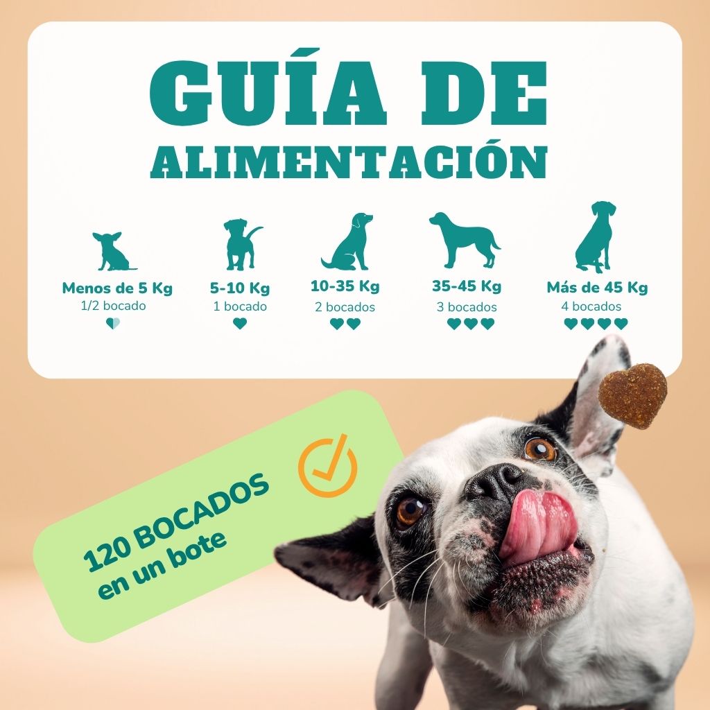 Calma & Relax - Masticables suaves 120 uds