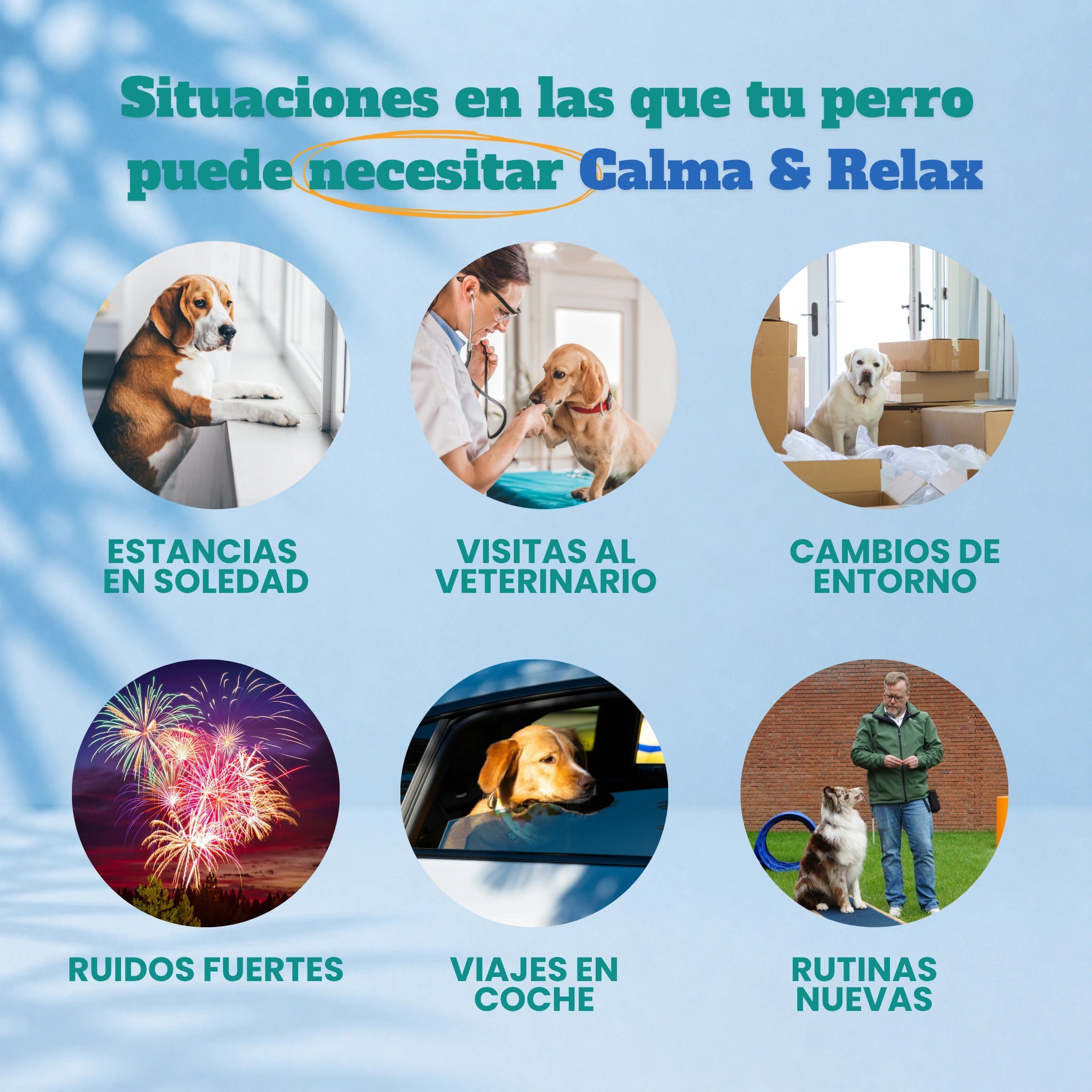 Calma & Relax - Masticables suaves 120 uds