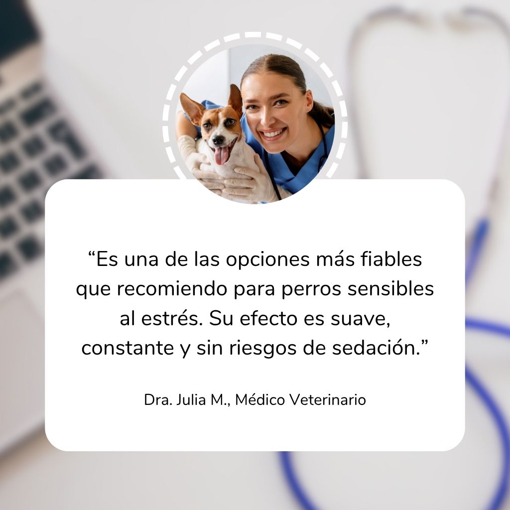 Calma & Relax - Masticables suaves 120 uds