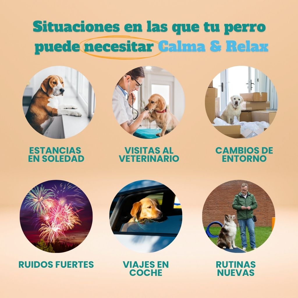 Calma & Relax - Masticables suaves 120 uds