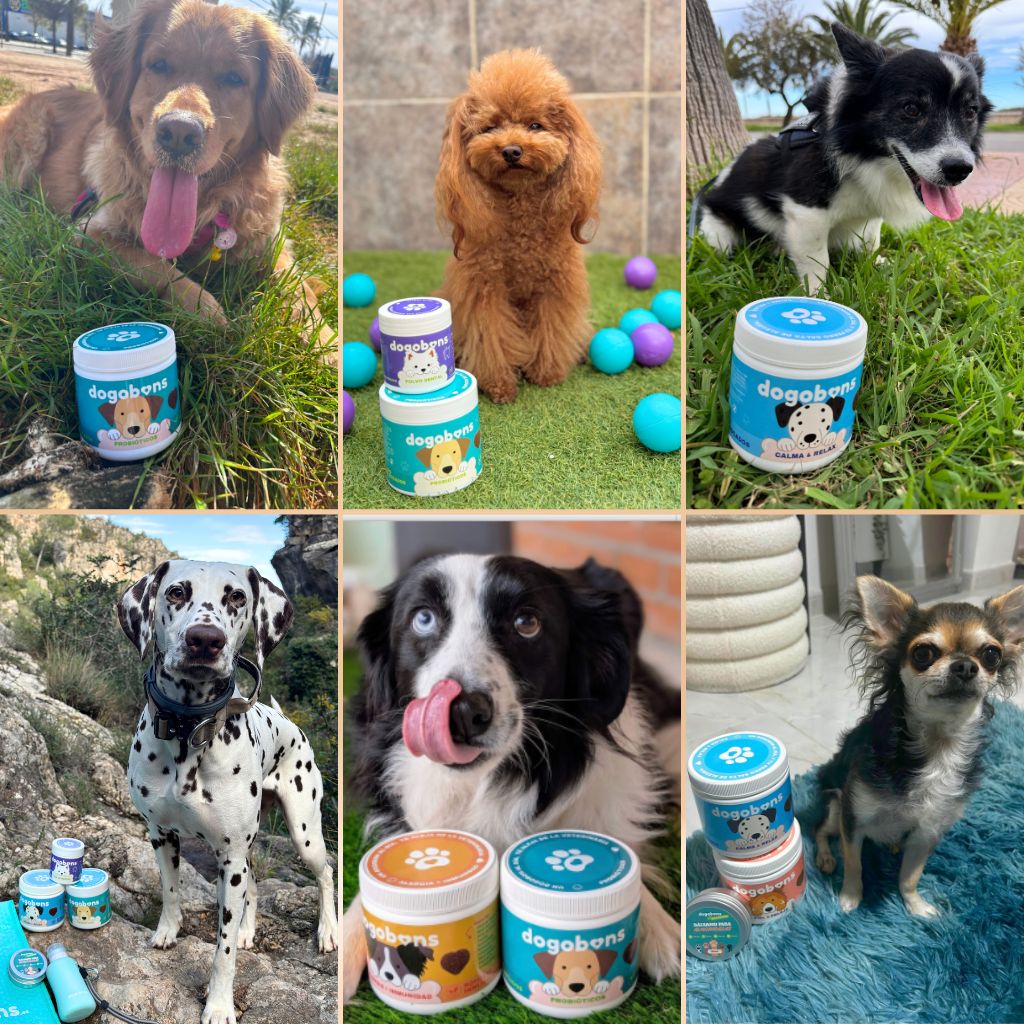 Calma & Relax - Masticables suaves 120 uds