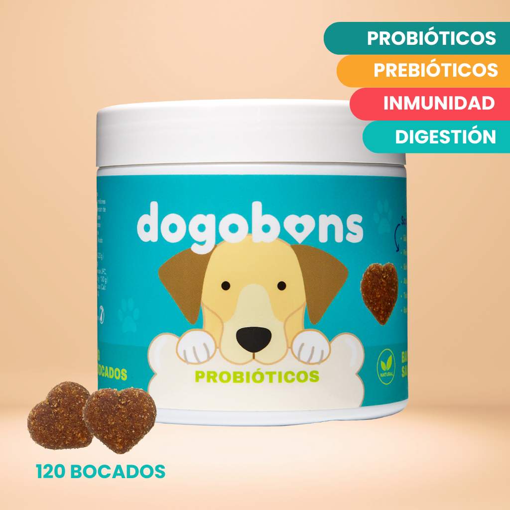 Probióticos para perros -  Masticables suaves