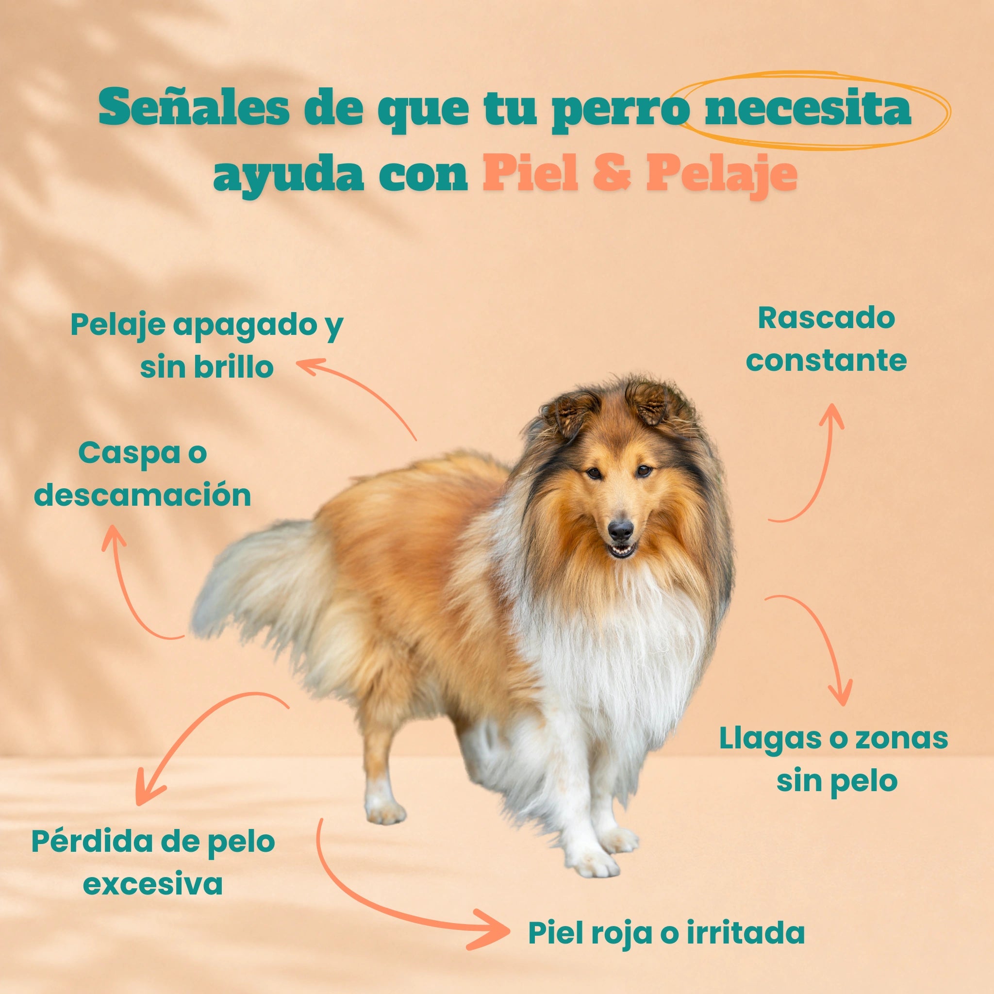 Piel & Pelaje - Masticables suaves 120 uds