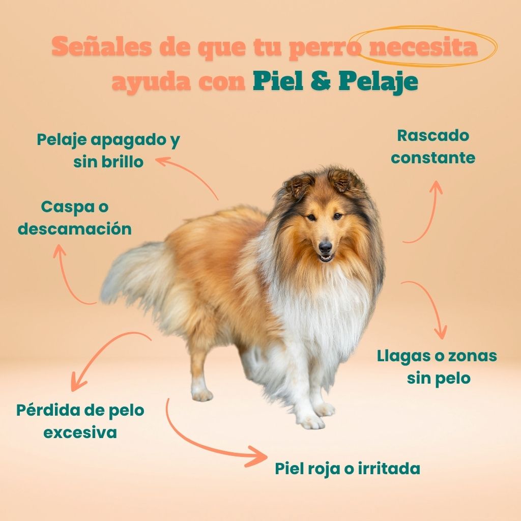 Piel & Pelaje - Masticables suaves 120 uds