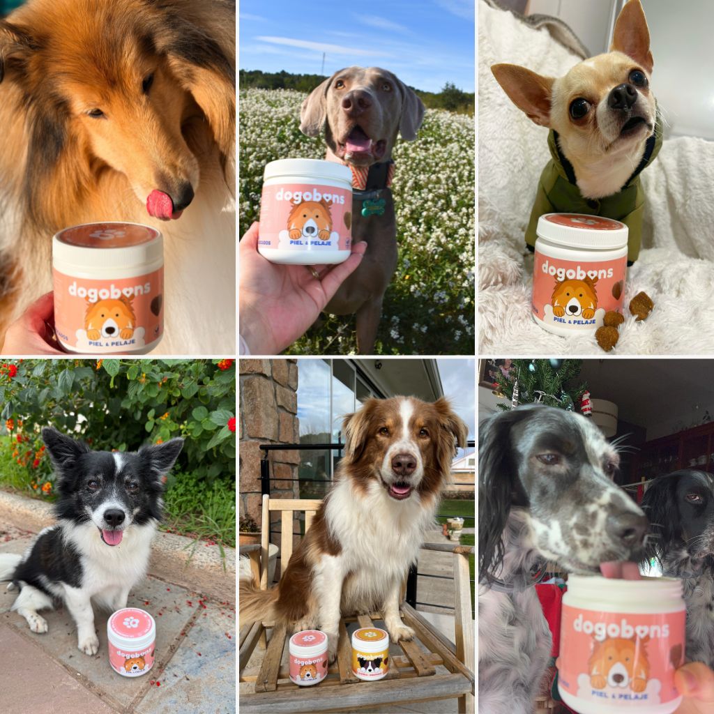 Piel & Pelaje - Masticables suaves 120 uds