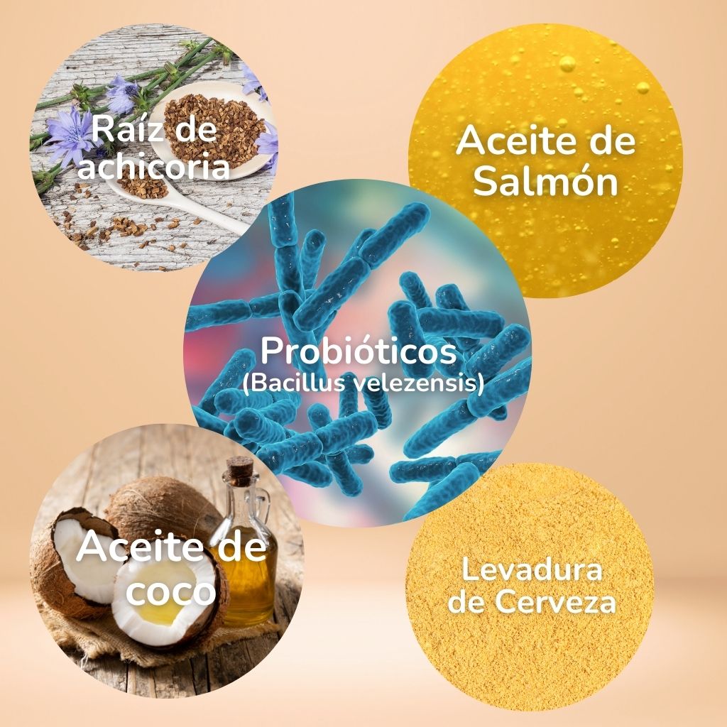 Probióticos para perros -  Masticables suaves