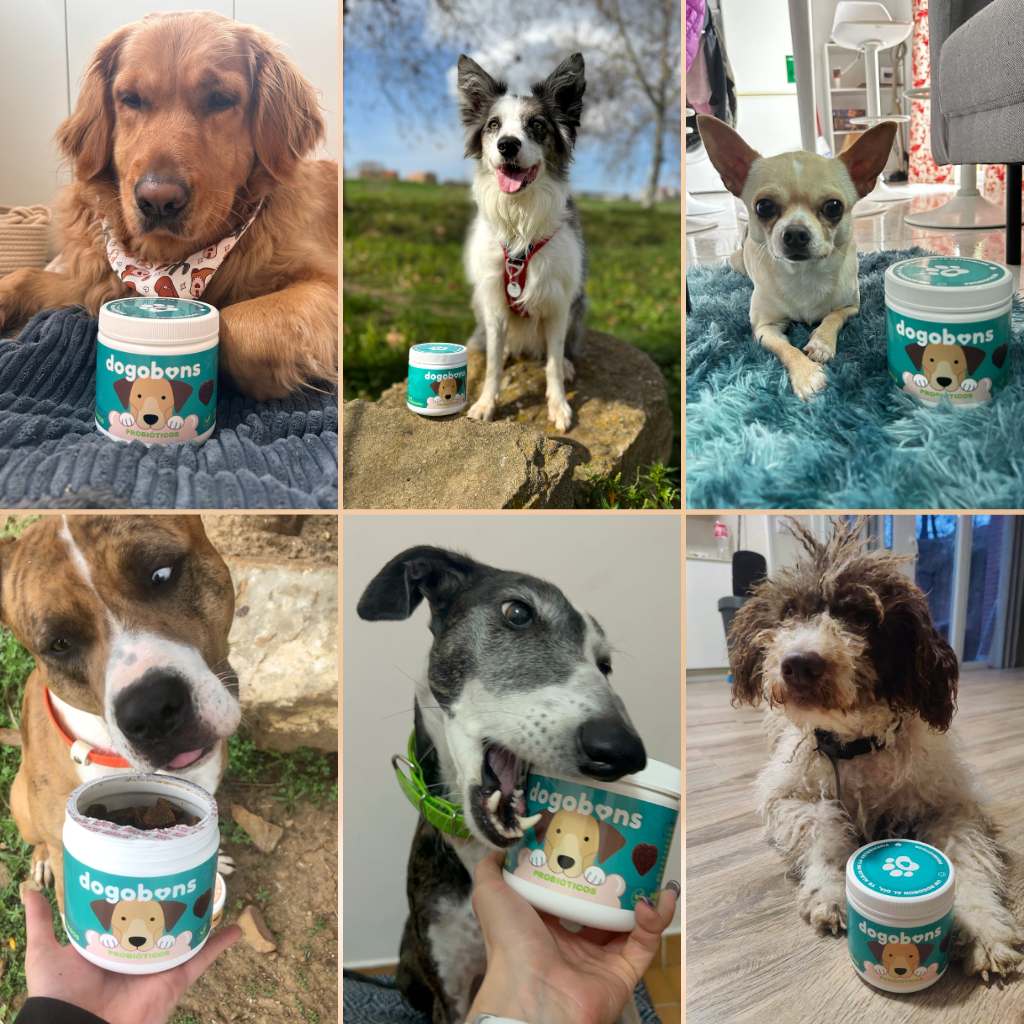 Probióticos para perros -  Masticables suaves
