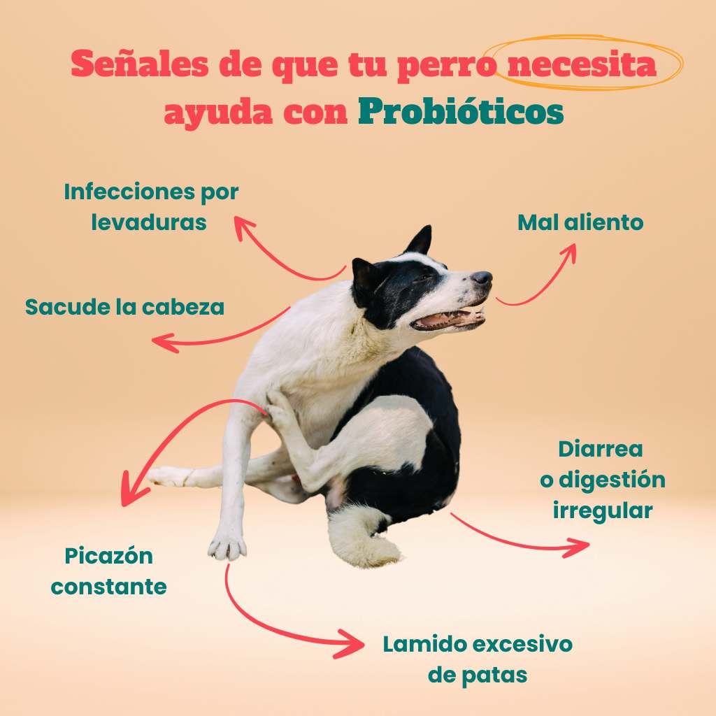 Probióticos para perros -  Masticables suaves