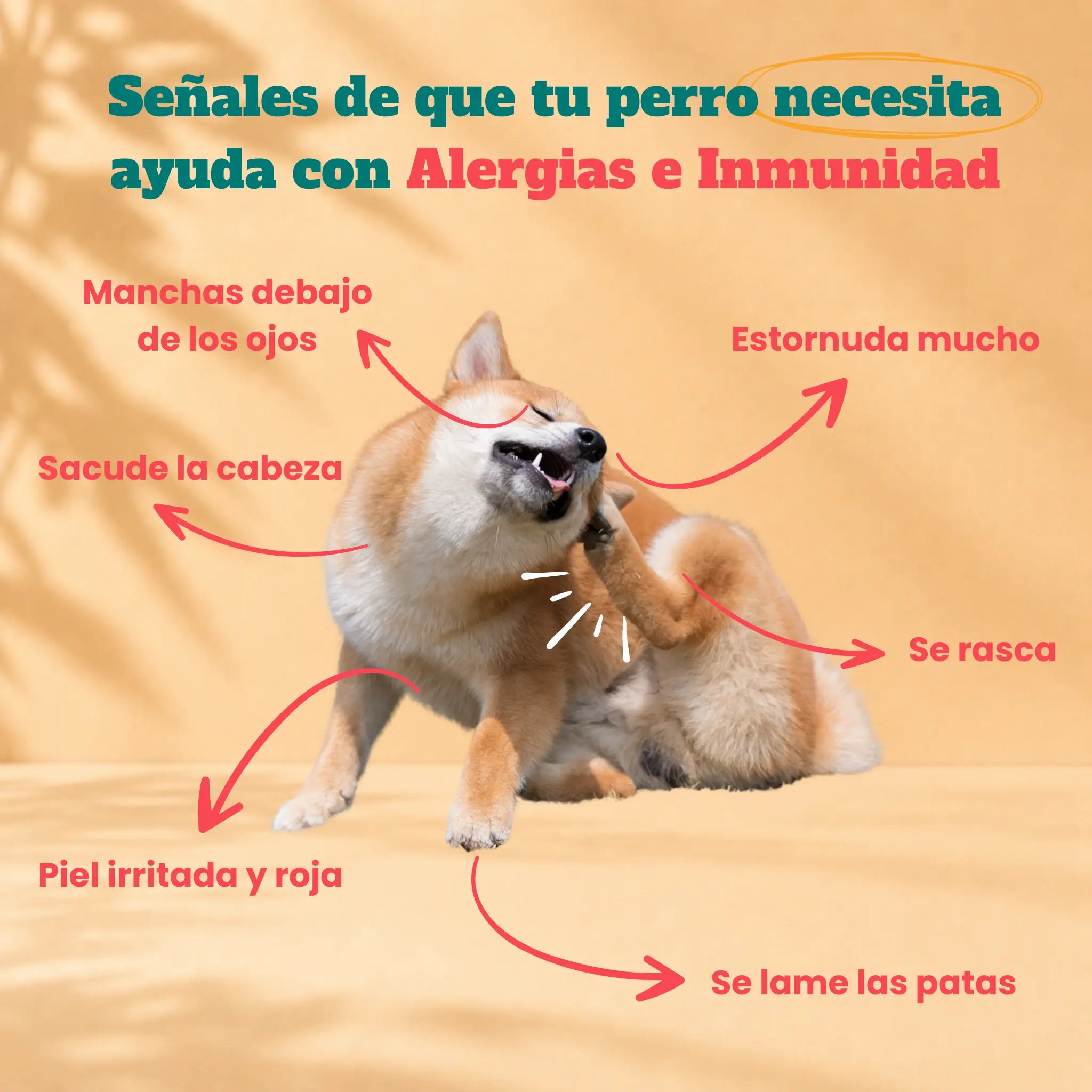 Allergy & Immunity - Soft chews