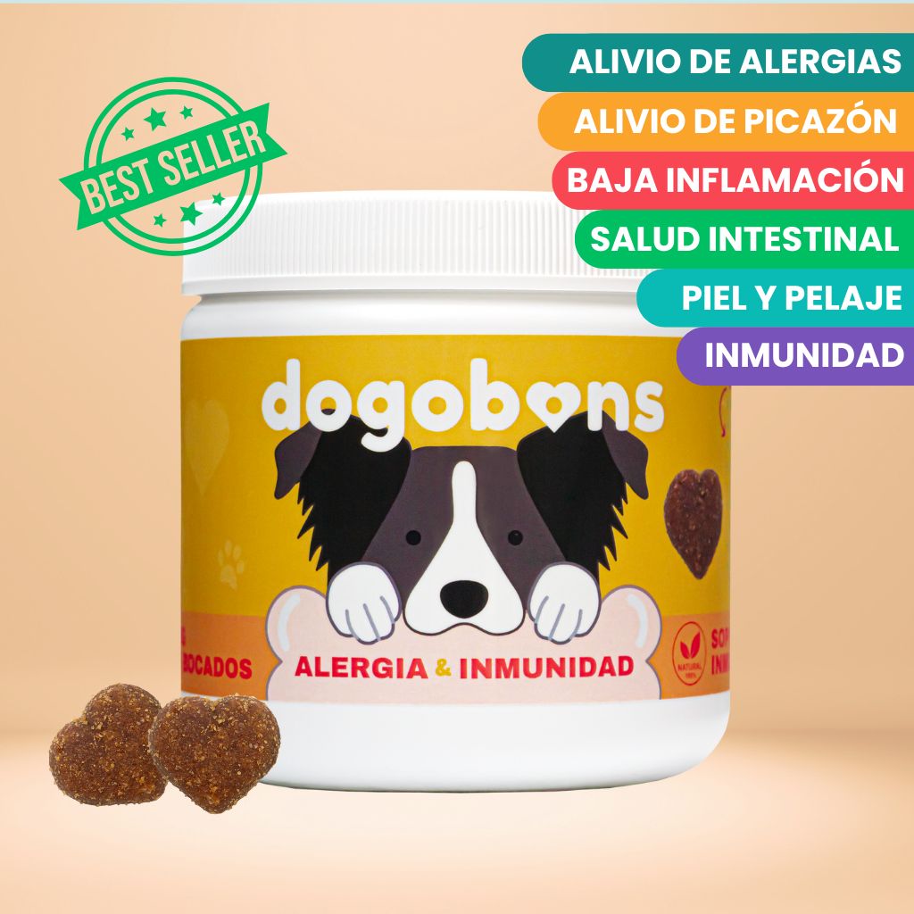 Allergy & Immunity - Soft chews