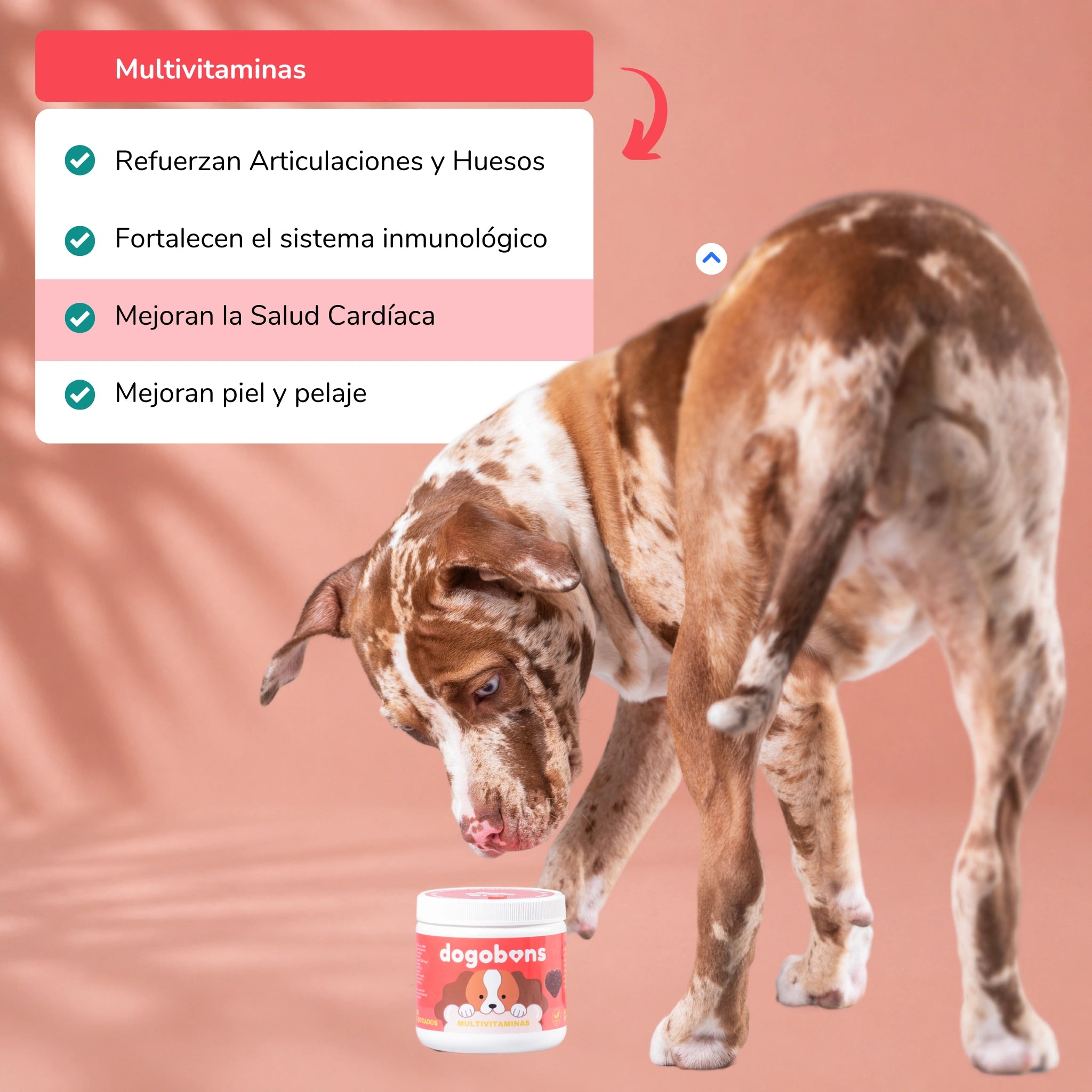 Multivitamins for dogs - Soft Chews