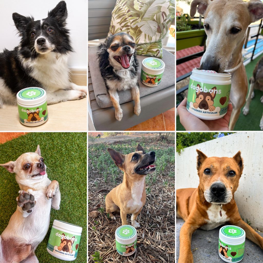 Refuerzo articular -  Masticables suaves 120 uds