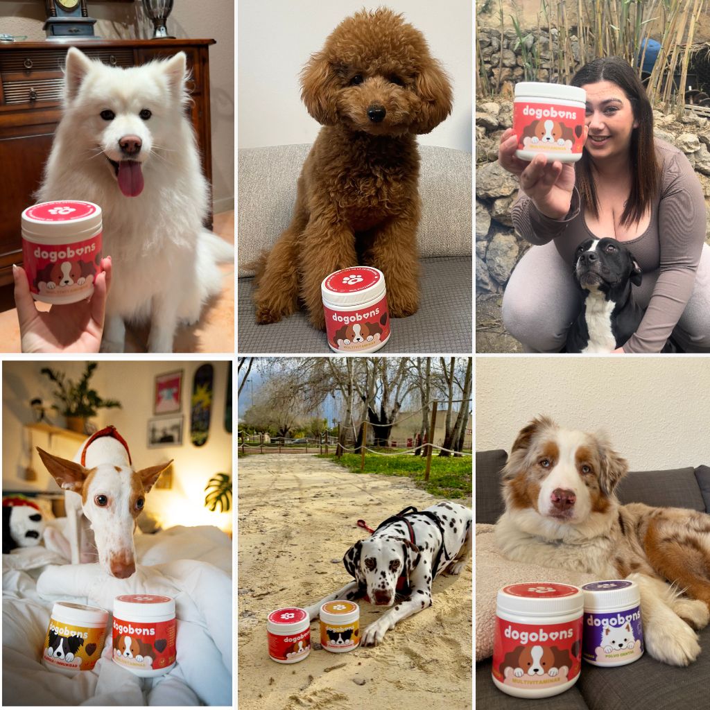 Multivitaminas para perros - Masticables suaves 120 uds