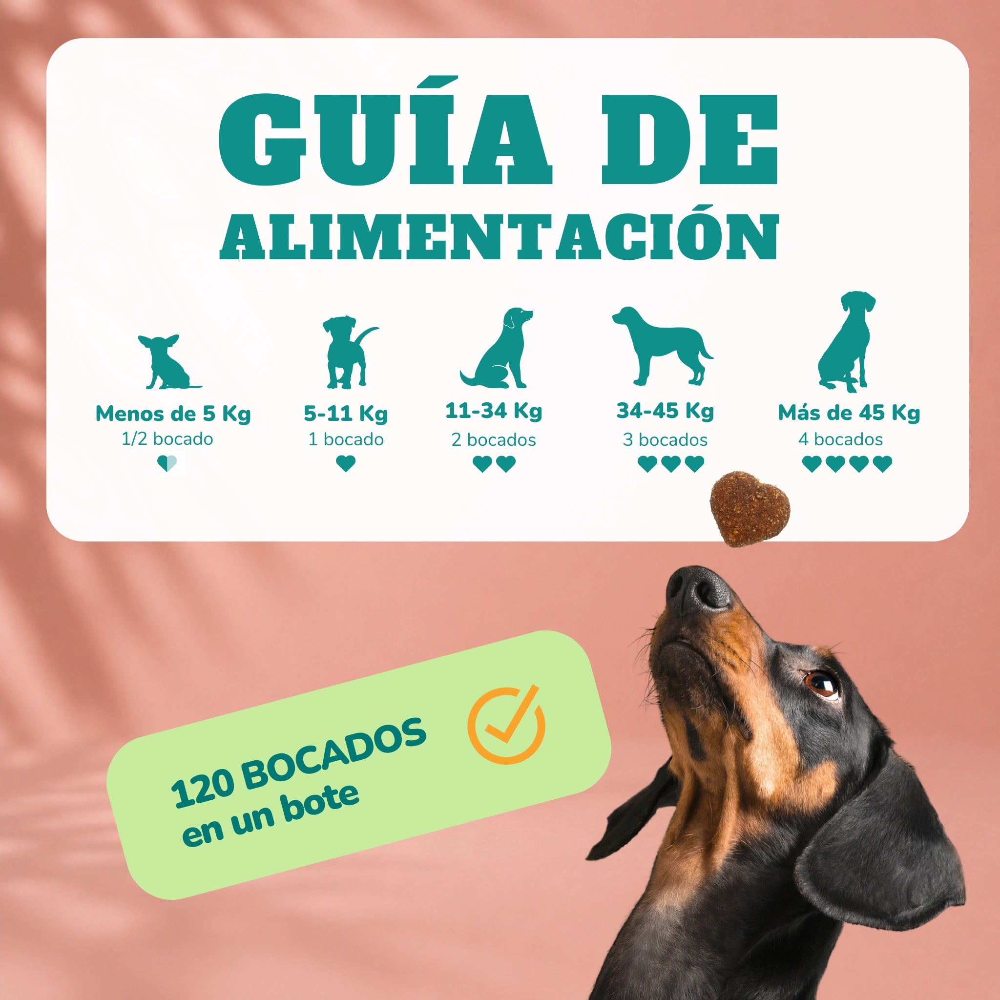 Multivitamins for dogs - Soft Chews