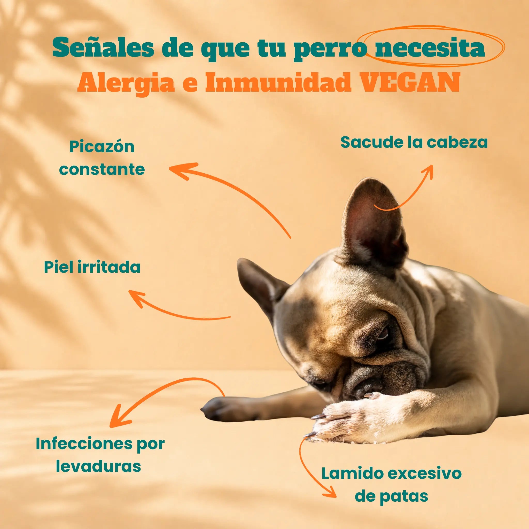 Alergia & inmunidad VEGAN - Masticables suaves 120 uds