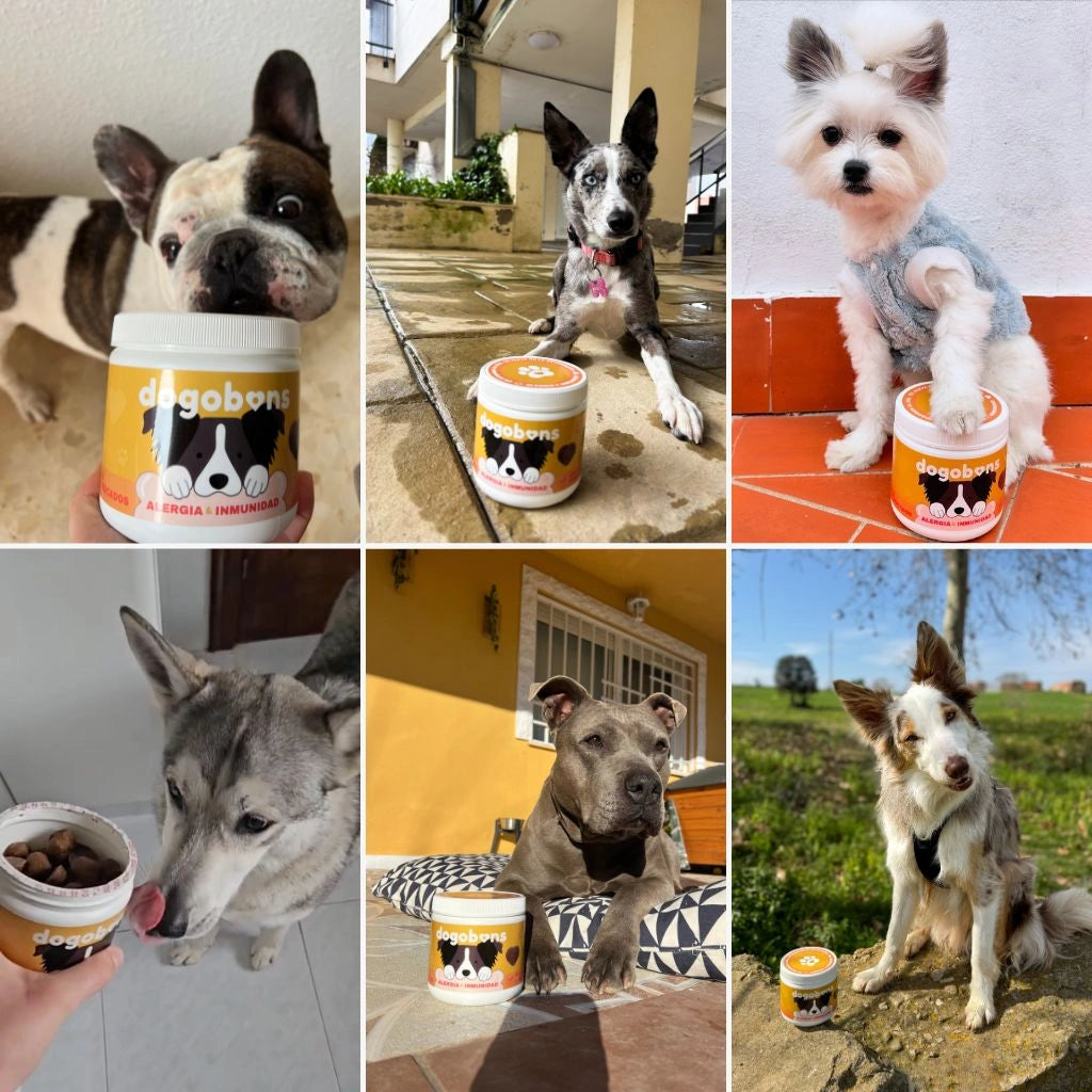 Alergia & inmunidad VEGAN - Masticables suaves 120 uds