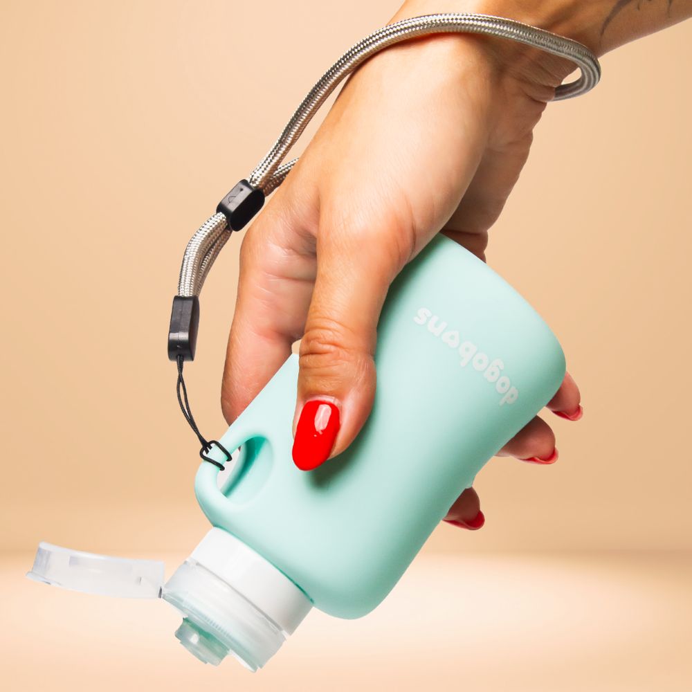 Botella pipí para perro