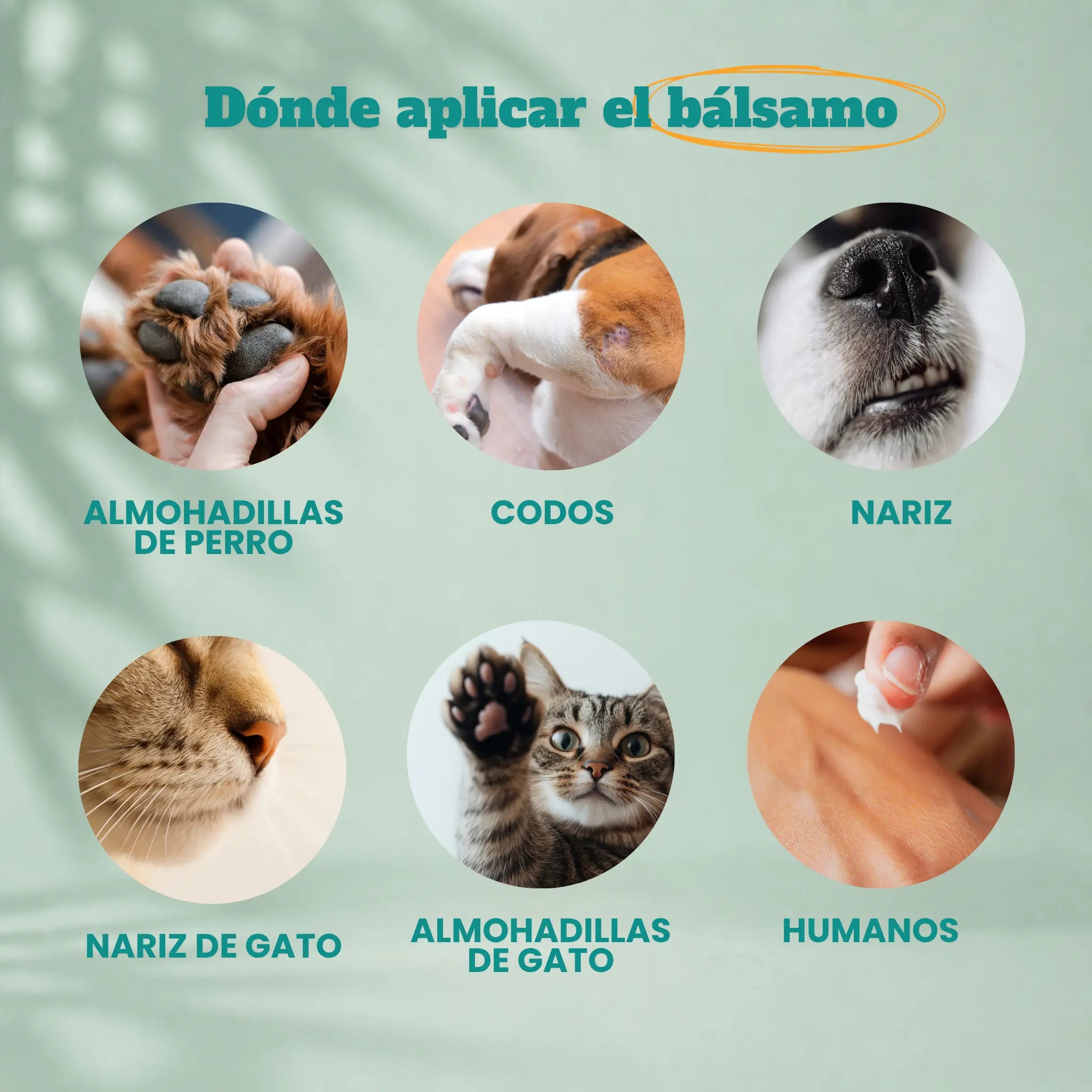 Bálsamo para almohadillas 60ml