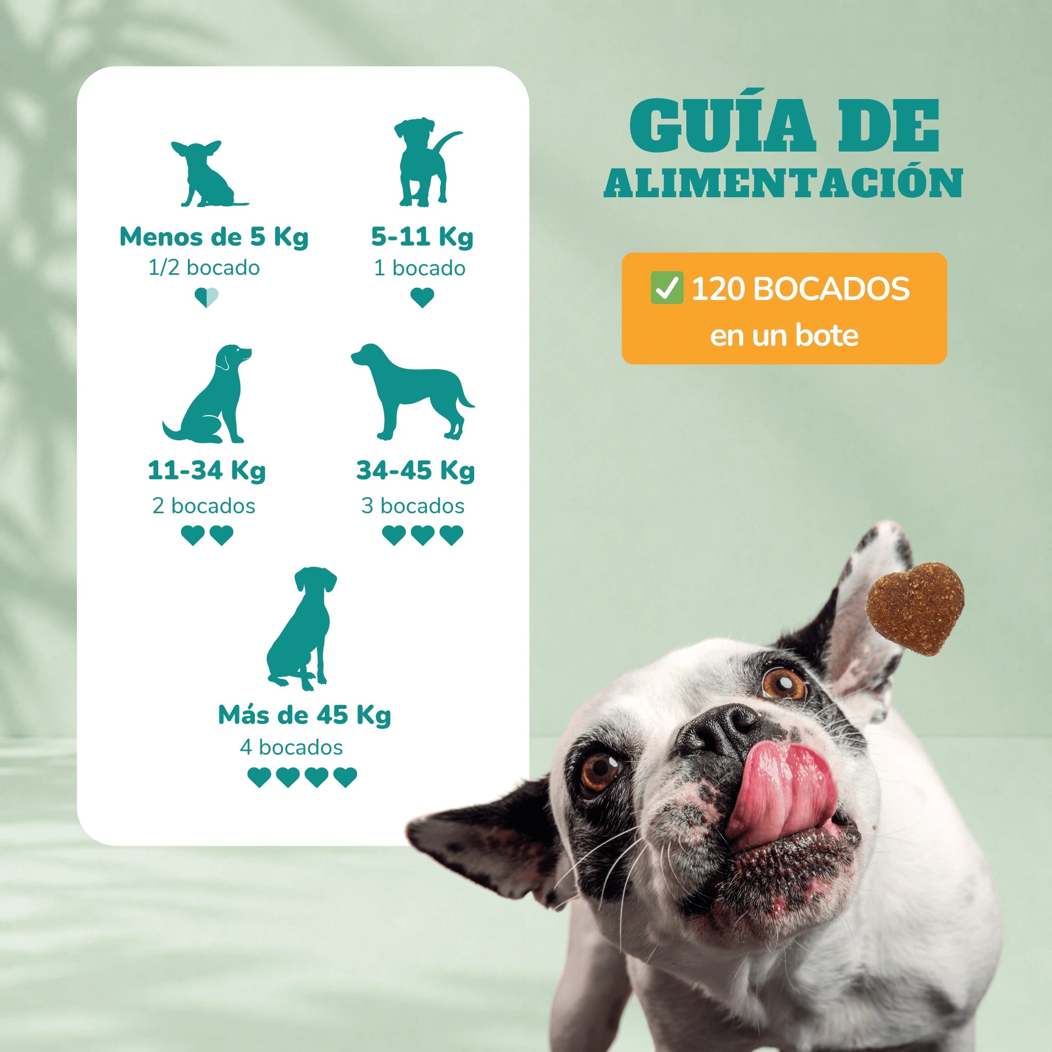 Probiotics for dogs - Soft Chews