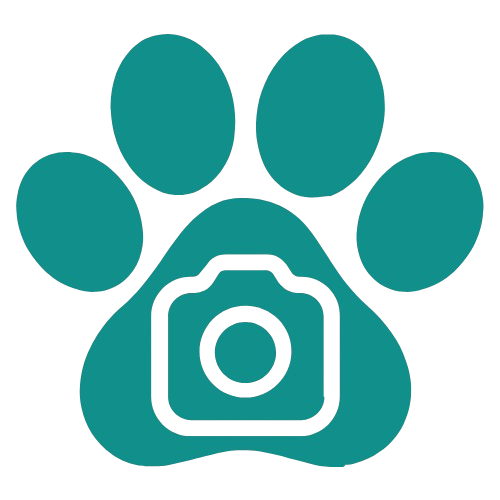 Alt Image