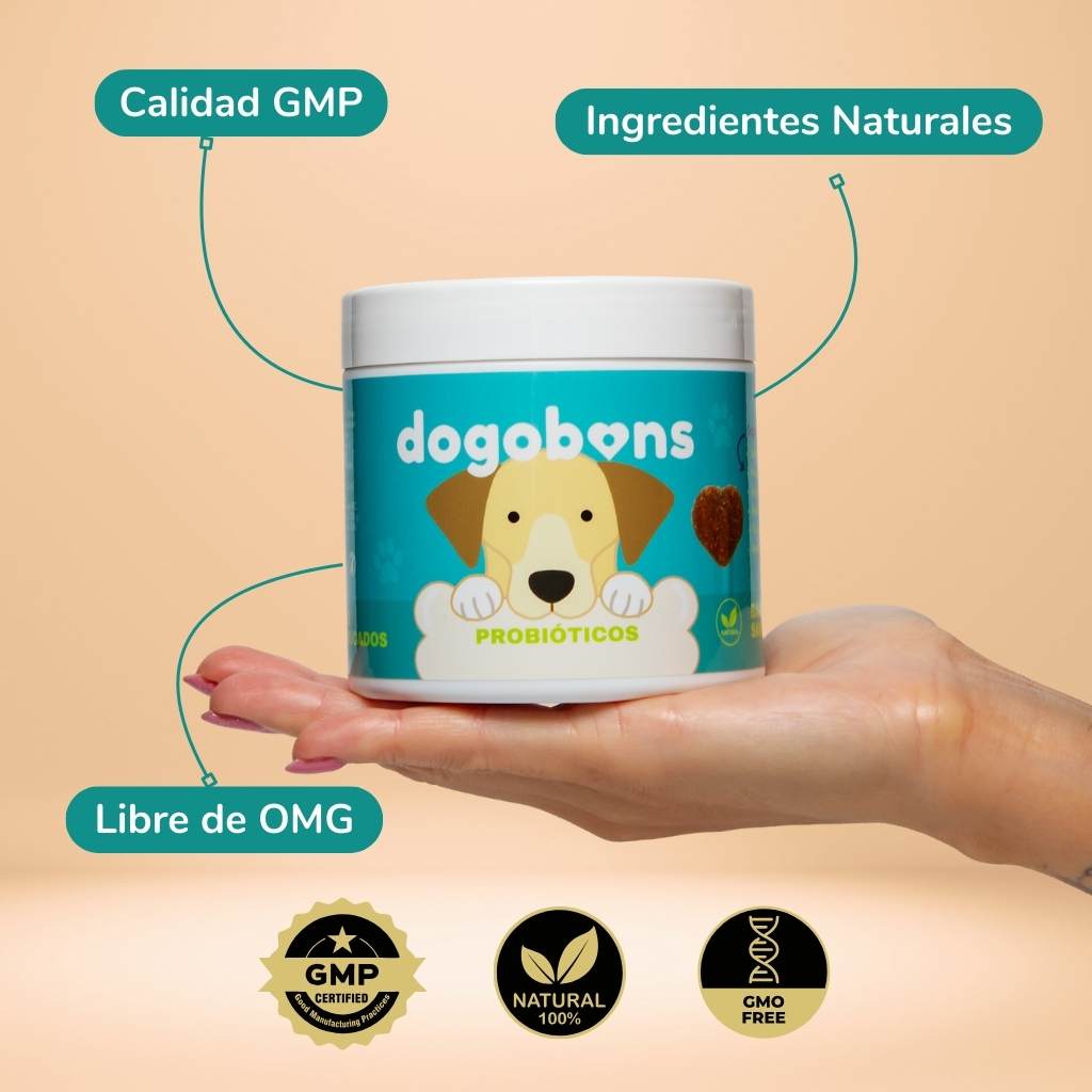 Probióticos para perros -  Masticables suaves