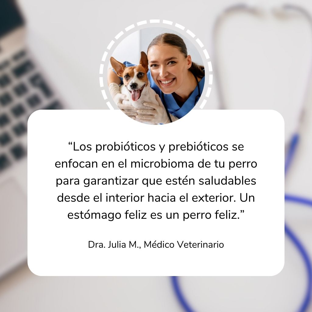 Probióticos para perros -  Masticables suaves